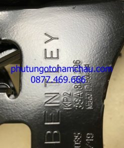 Bentley GT Hinges 3SA823296 3SA823295..._result