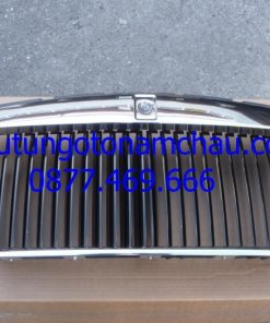Rolls Royce Wraith Dawn Ghost Radiator Grille 51117459711 OEM2_result