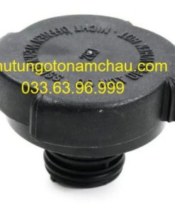 17111742231 Nắp Bình Nước Phụ BMW Series 5 E39 (1)