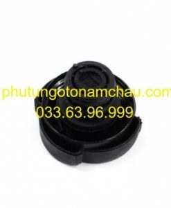17111742231 Nắp Bình Nước Phụ BMW Series 5 E39 (2)