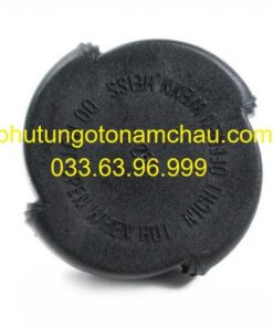 17111742231 Nắp Bình Nước Phụ BMW Series 5 E39 (3)