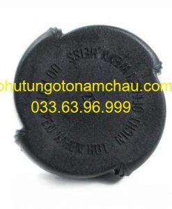 17111742231 Nắp Bình Nước Phụ BMW Series 5 E39 (3)