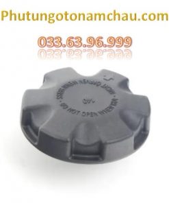 17117639020 Nắp Bình Nước Phụ BMW X5 (1)
