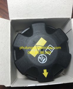 17117639020 Nắp Bình Nước Phụ BMW X5 (3)