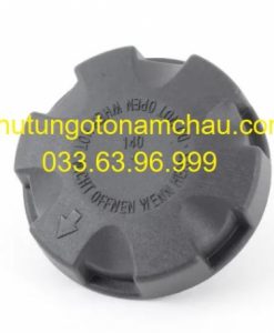 17117639020 Nắp Bình Nước Phụ BMW X5 (5)