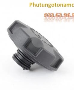 17117639020 Nắp Bình Nước Phụ BMW X5 (6)