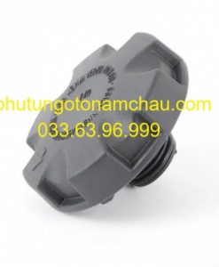 17117639020 Nắp Bình Nước Phụ BMW X5 (8)