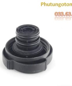 17117639022 Nắp Bình Nước Phụ BMW Series3 E46 (1)