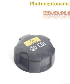 17117639024 Nắp Bình Nước Phụ BMW Mini (4)