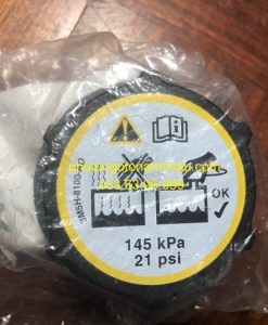 LR000243 Nắp Bình Nước Phụ Land Rover (1)