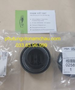 0258 56 Nắp đổ Dầu Máy Peugeot (1)