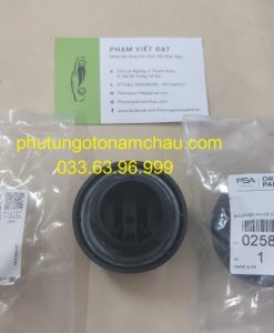 0258 56 Nắp đổ Dầu Máy Peugeot (1)