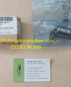 06E109257T Van đầu Cam Audi (1)