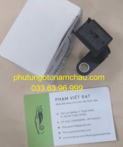 1920 LS Cảm Biến Trục Cam Peugeot (1)