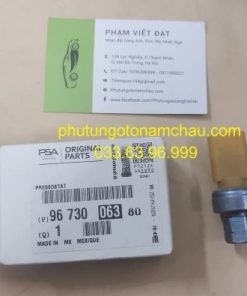 9673006380 Cảm Biến áp Suất Ga Peugeot (2)
