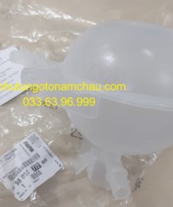 9800777280 Bình Nước Phụ Peugeot (3)