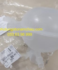 9800777280 Bình Nước Phụ Peugeot (3)