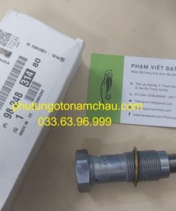 9814831480 Búa Tăng Cam Peugeot (2)