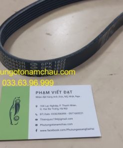 117206842R 6PK1822 Dây Curoa Tổng Renault (2)