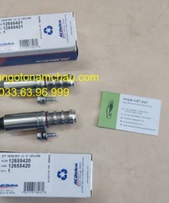 12655420 12655421 Van Solenoid VVT Cadillac GM (3)