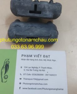 17117530984 Cao Su Chân Két Nước BMW (1)