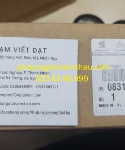 0831 V6 Bộ Tăng Cam Peugeot (2)