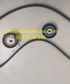 0831 V6 Bộ Tăng Cam Peugeot (3)