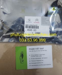 4545 K3 Abs Trước Peugeot (2)
