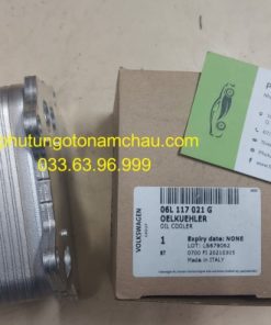06L117021G Két Làm Mát Dầu Máy (3)