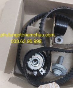 130C17529R Bộ Bi Dây Cam Renault (5)