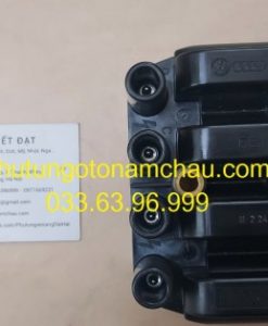 06A905097 Mô Bin đánh Lửa Audi VW (3)