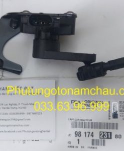 9817423180 Cảm Biến độ Cao Trước Peugeot (3)