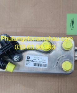 17217638678 Két Làm Mát Dầu Số BMW (1)