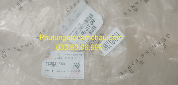 YL00317380 Càng A Dưới Pegeot 4008 (2)