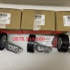 07K145172C Pulley đỡ Dây Curoa Audi (2)