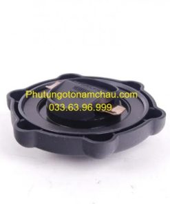 11127832157 Nắp đổ Dầu Máy BMW (2)