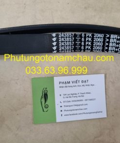 243857 Dây Curoa Maserati (1)