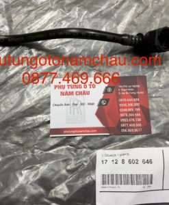 17128602646 Ống Nước BMW.