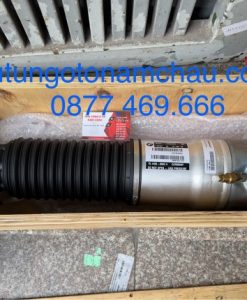 37126796930 Giảm Sóc ( Phuộc ) Sau BMW 730 Li F02.