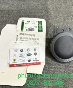 LR003380 Van Thông Hơi ( Van ERG ).