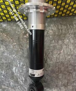 000281475 Giảm Shock Trước Ferrari California 458 (1)