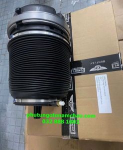 3Y5616002F 3Y5616002F Bầu Hơi Sau Bentley ( Chính Hãng ) (1)