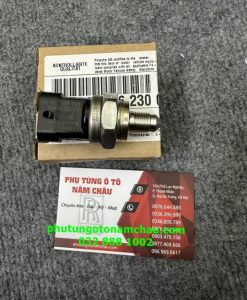 94860623003 Cảm Biến Áp Xuất Săng Trên ống Ray Porsche (4)