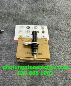 079919525M Cảm Biến Nhiệt độ Audi (3)