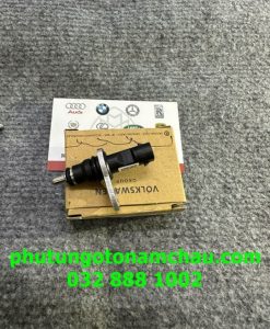 079919525M Cảm Biến Nhiệt độ Audi (6)