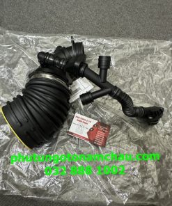 13717848152 Cụm ống Hơi BMW (4)