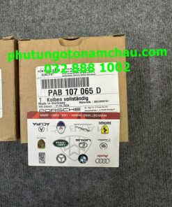PAB104066C PAB107065D Pittong Trái Phải Posche (3)